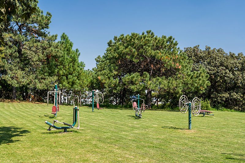 Aparatos de ejercicio al aire libre sobre el pasto, entre pinos