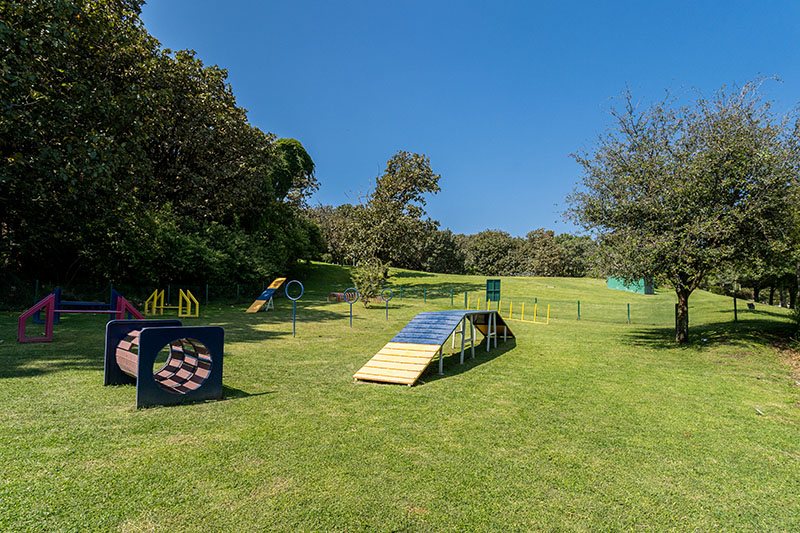 Pet park con obstáculos para perros en el jardín