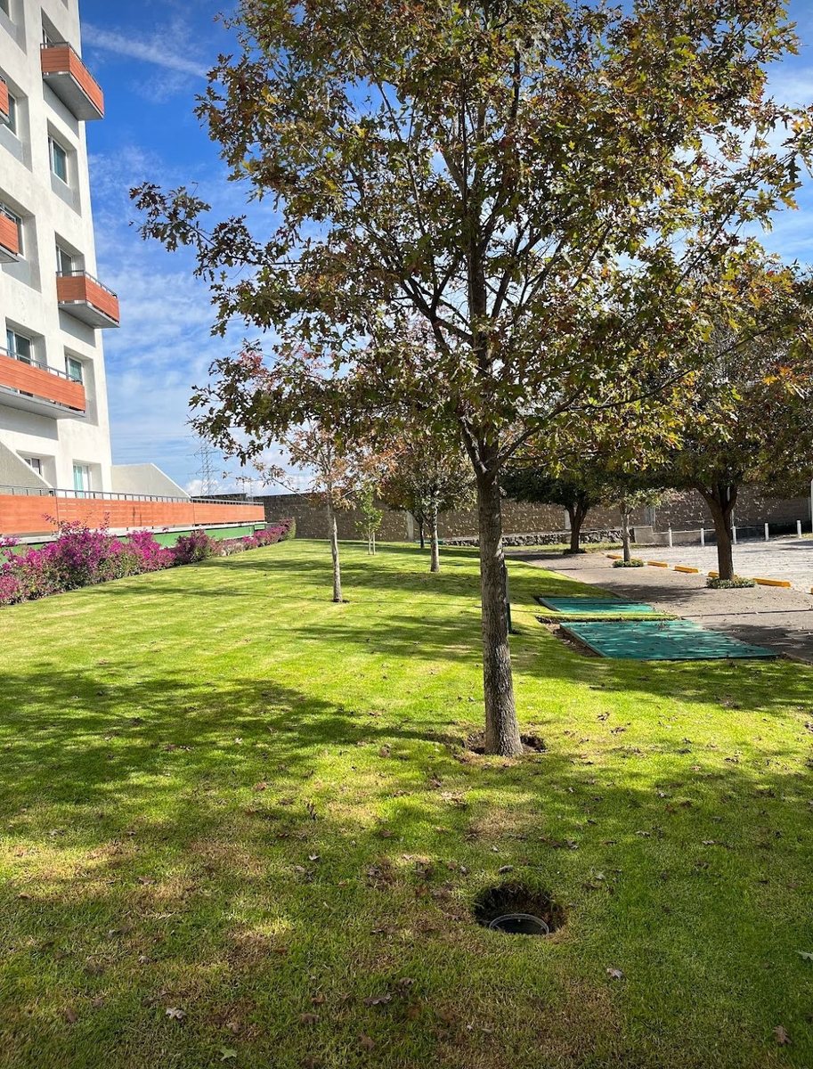 Jardín frente a la Torre Aqua