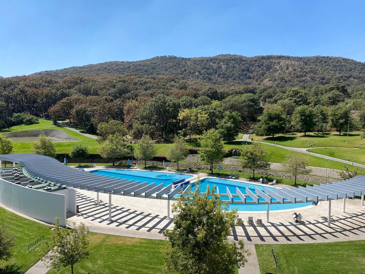 Vista desde arriba de la alberca, los jardines y el bosque de Avaterra