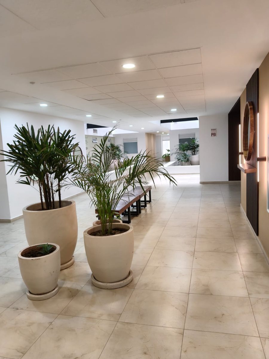 Vestíbulo de la torre con plantas y bancas