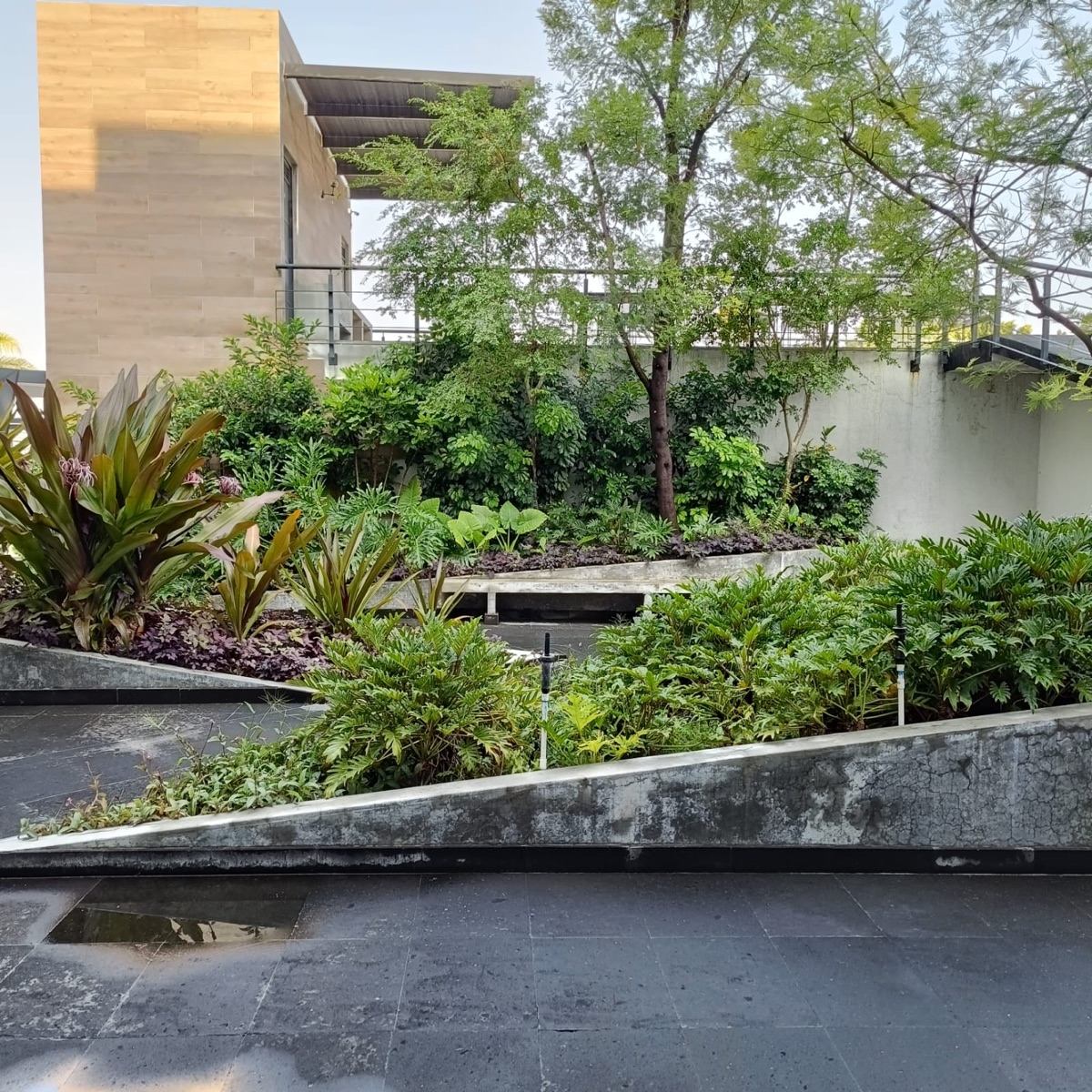Jardineras con árboles y plantas