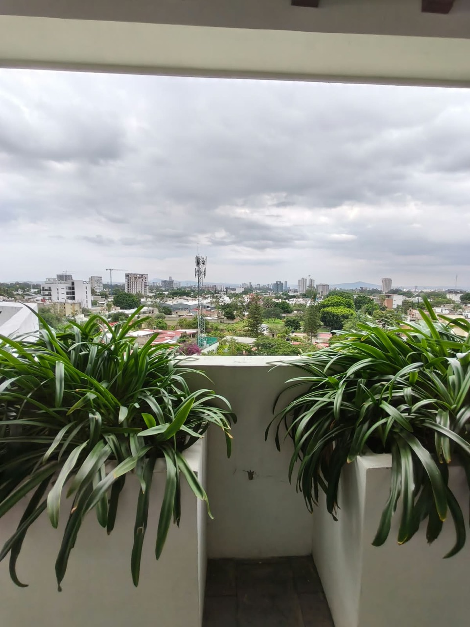 Terraza con jardineras y vista panorámica